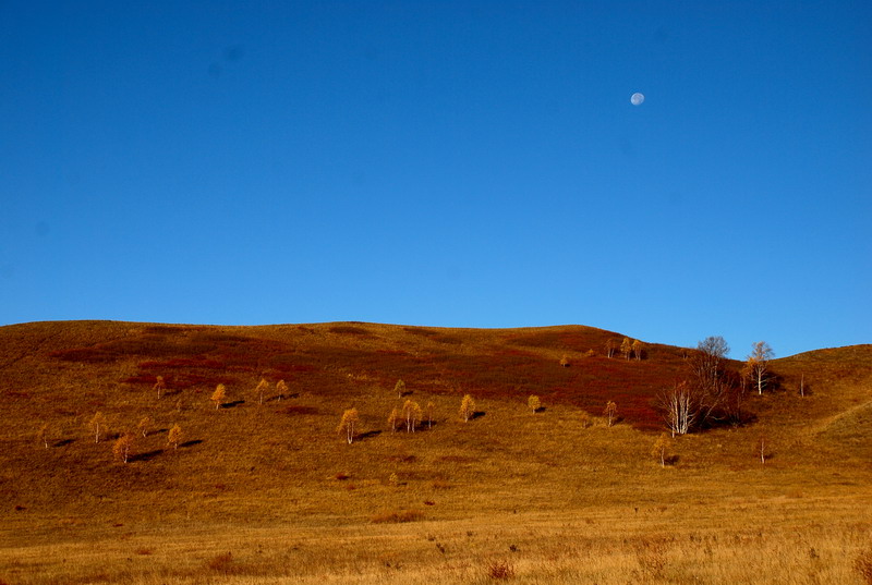 dsc_0527.jpg