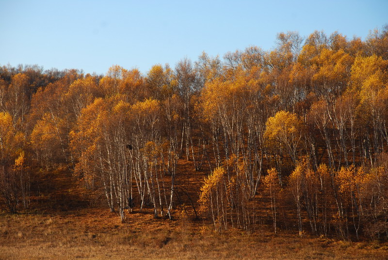 dsc_0529.jpg