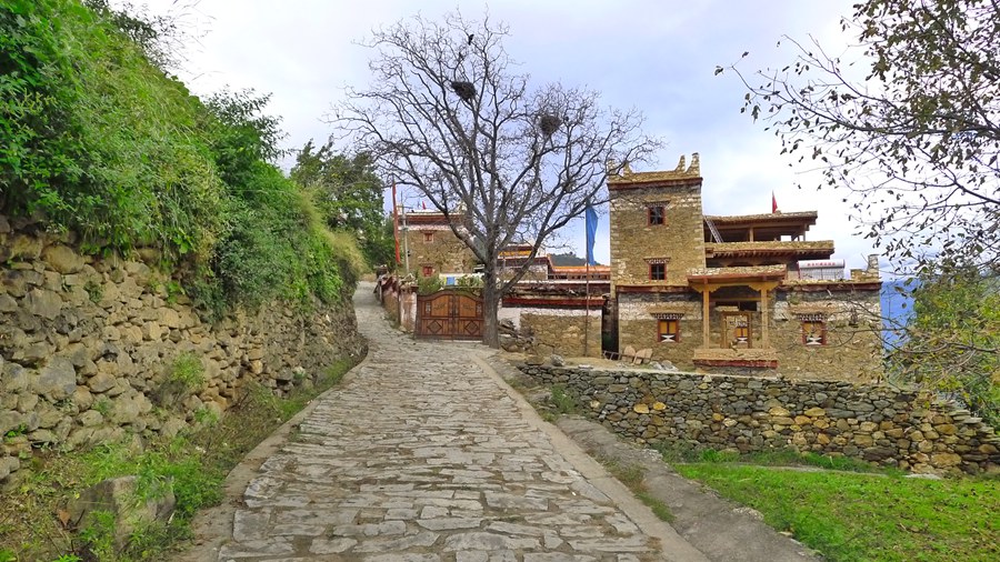 p1020276_.jpg