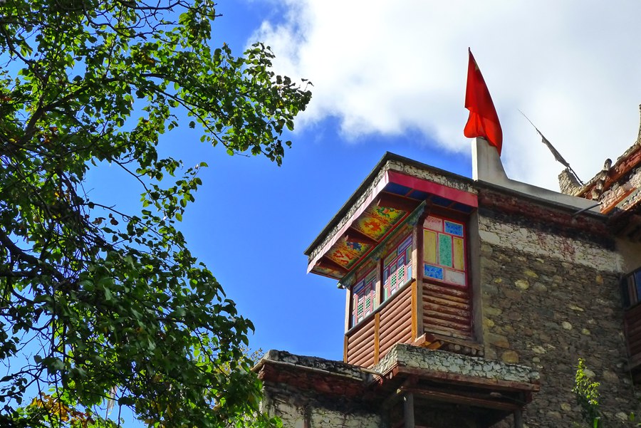 p1020516_.jpg