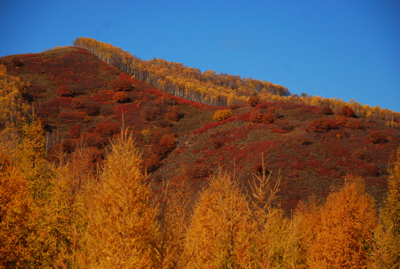 dsc_0578.jpg