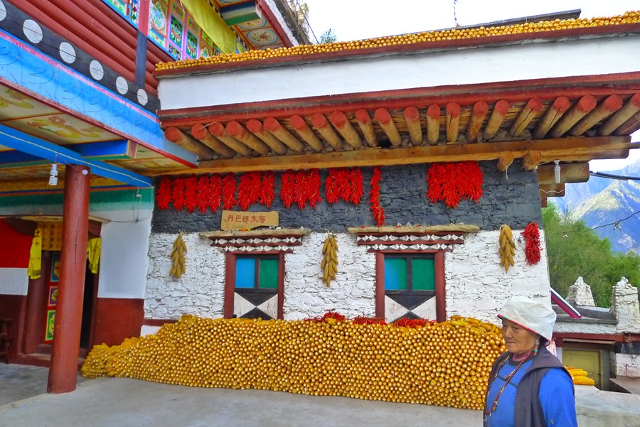 p1020214_.jpg