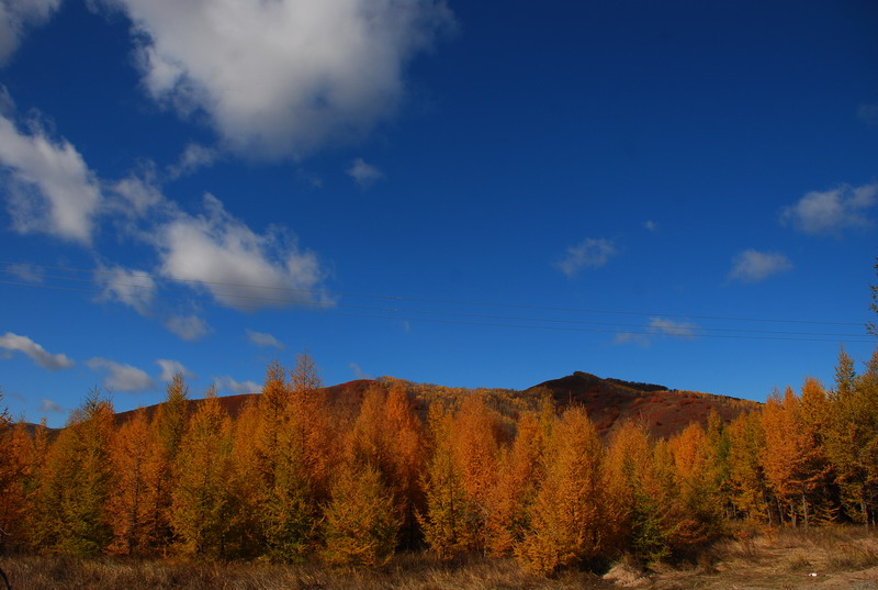 dsc_0582.jpg