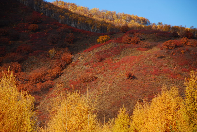 dsc_0583.jpg