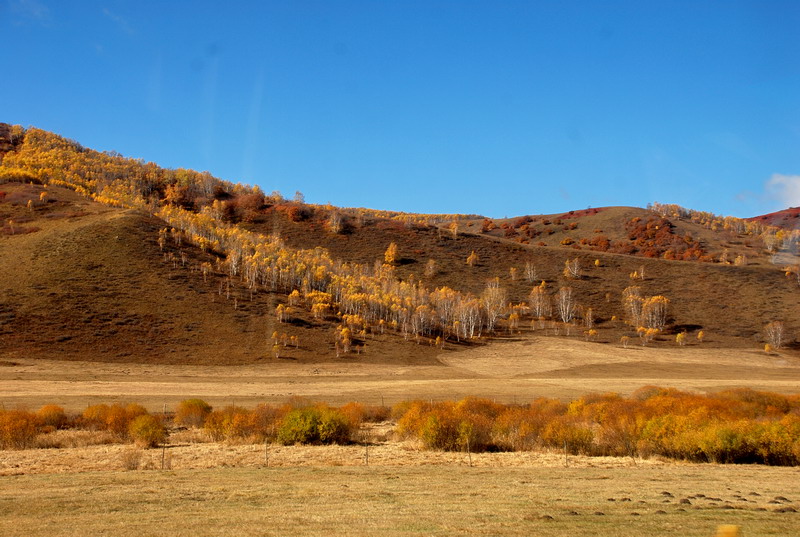 dsc_0592.jpg
