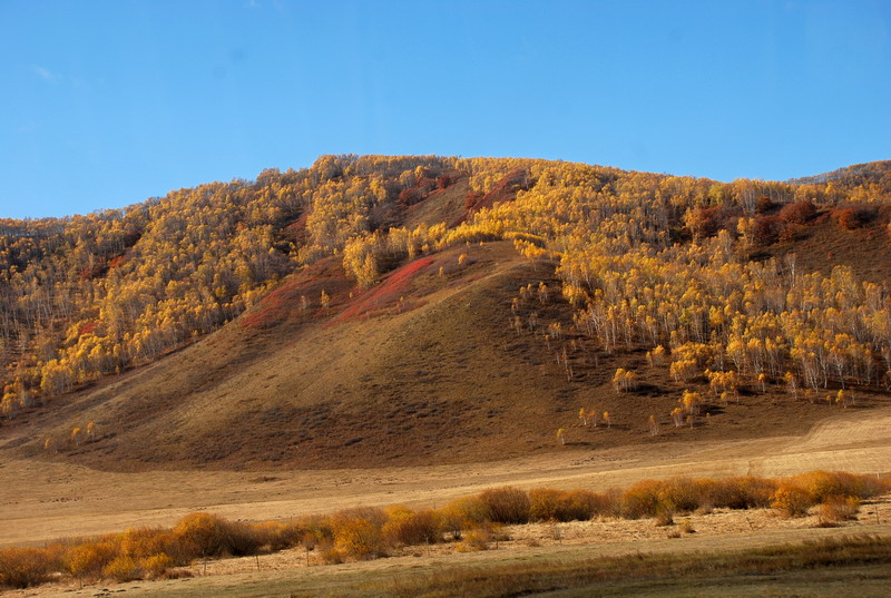 dsc_0593.jpg