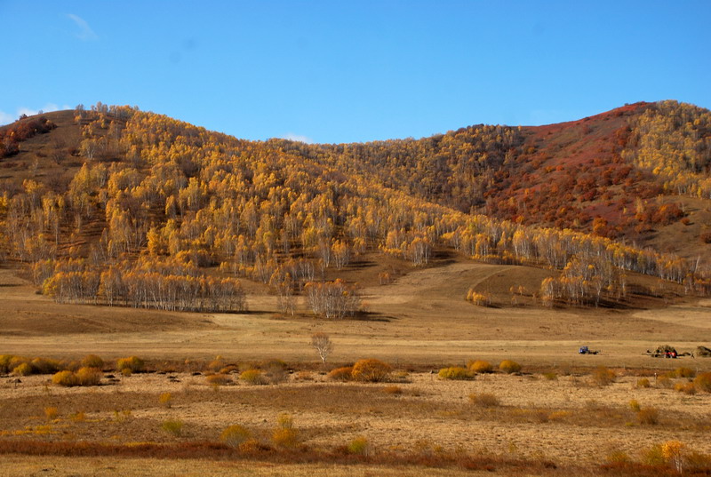 dsc_0597.jpg