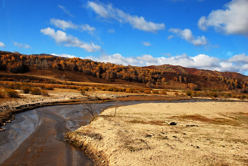 dsc_0606.jpg