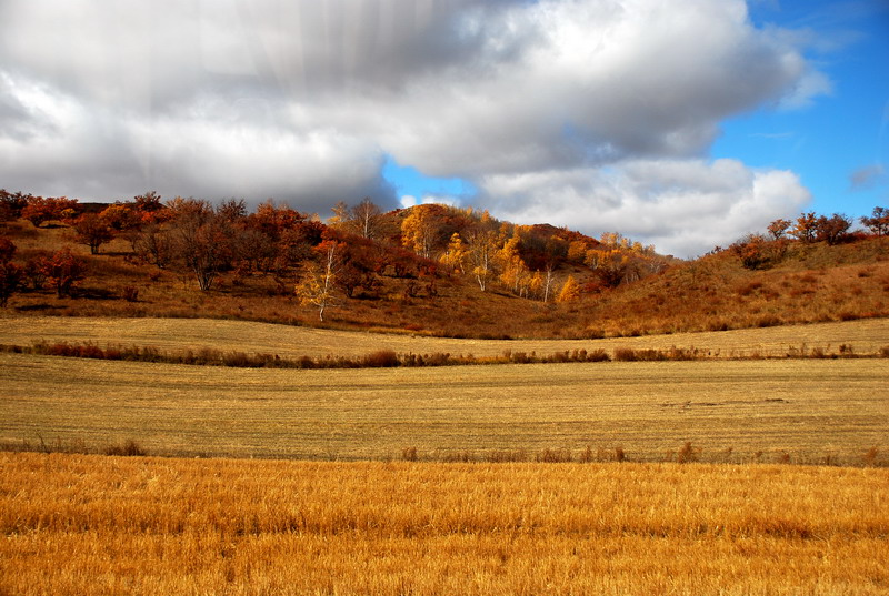dsc_0619.jpg