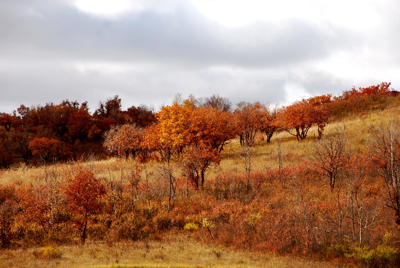 dsc_0627.jpg