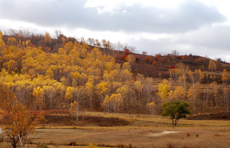 dsc_0628.jpg