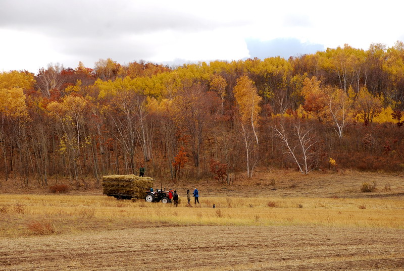 dsc_0633.jpg