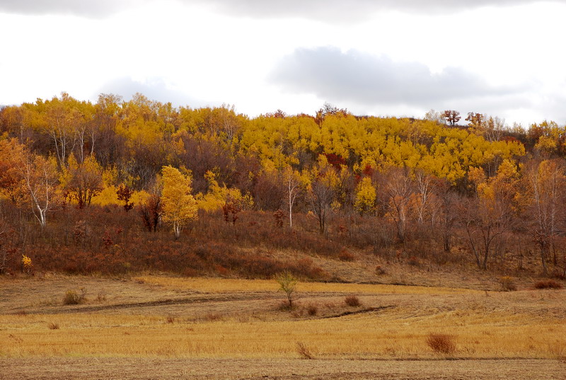 dsc_0634.jpg