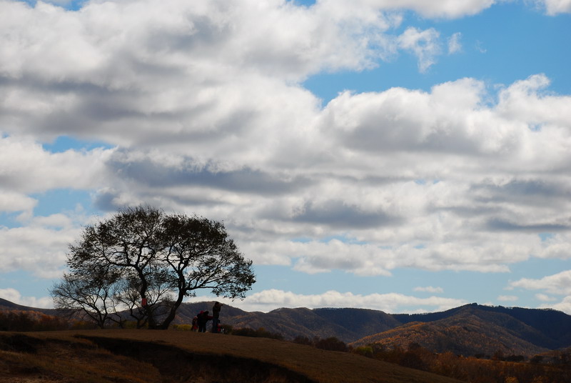 dsc_0845.jpg