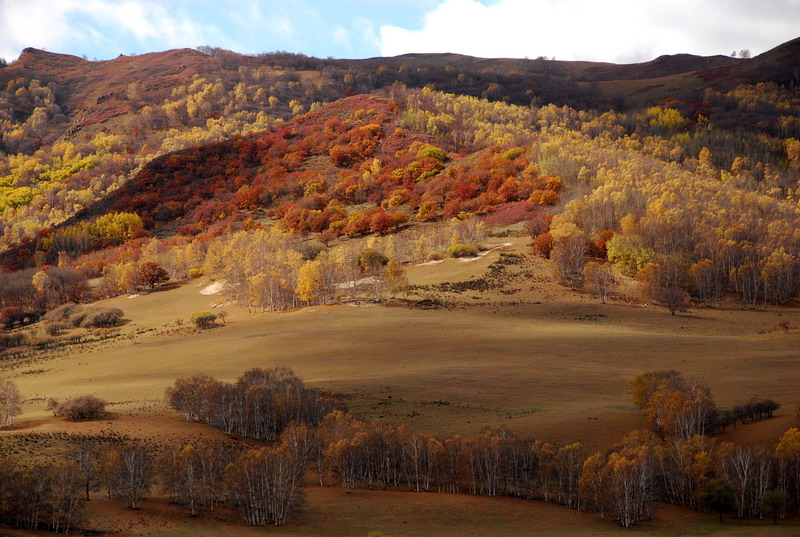 dsc_0866.jpg
