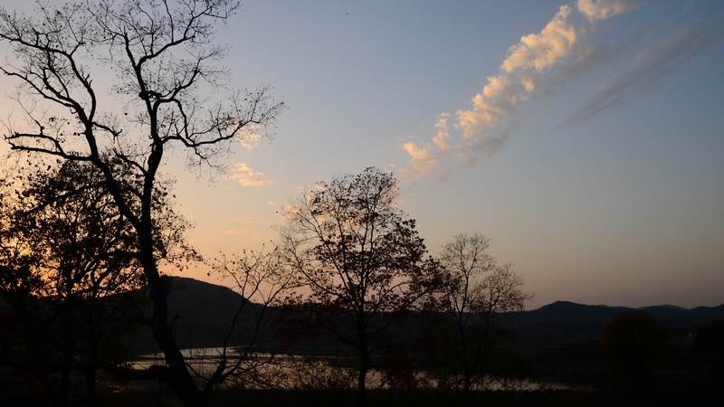dsc_5203.jpg