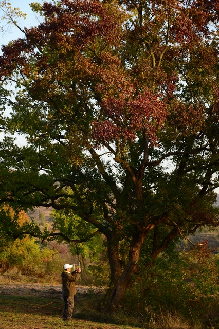 dsc_5109.jpg