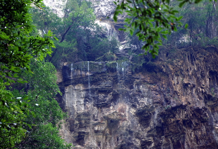 dsc_0139.jpg