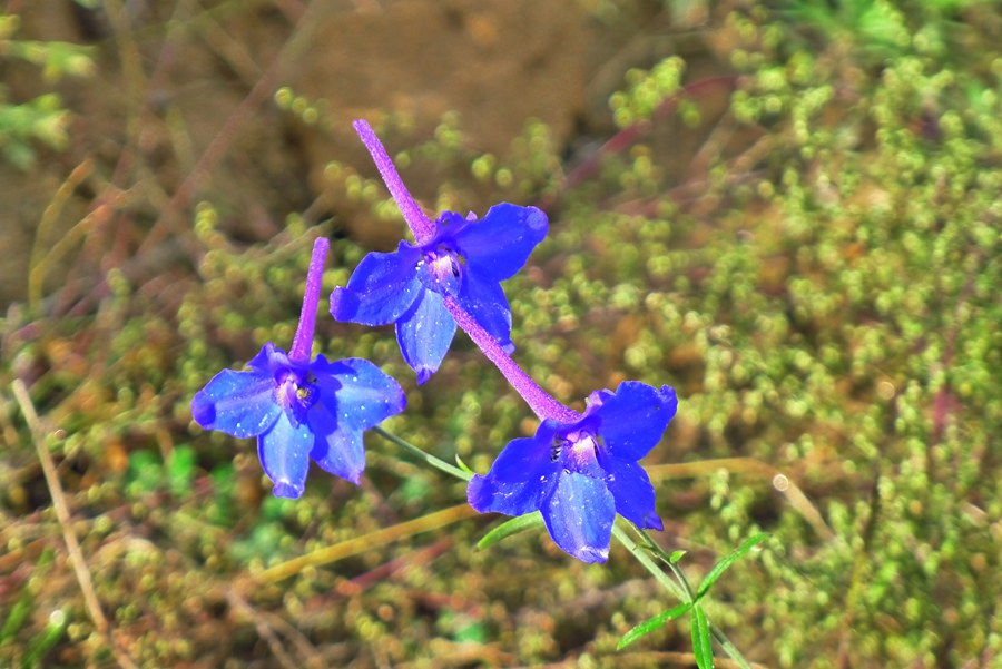 p1020341_.jpg