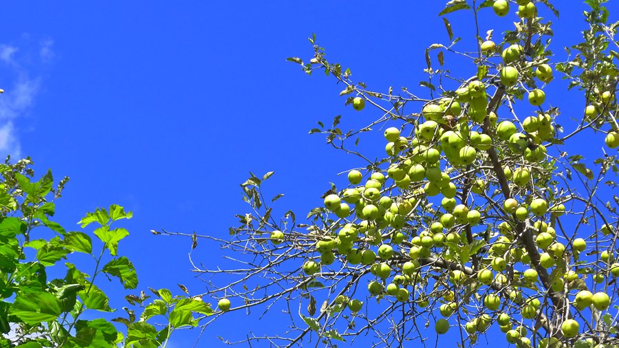 p1020395_.jpg