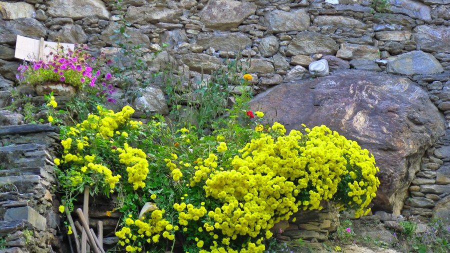 p1020444_.jpg