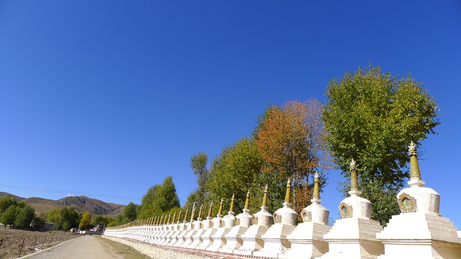 p1020676_.jpg