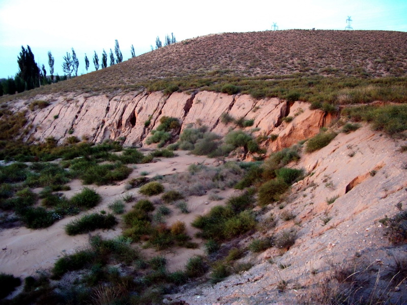 dscf0116.jpg