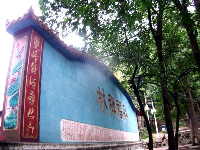 dscf0085.jpg
