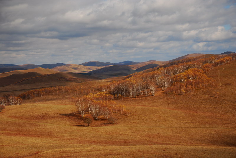 dsc_1006.jpg