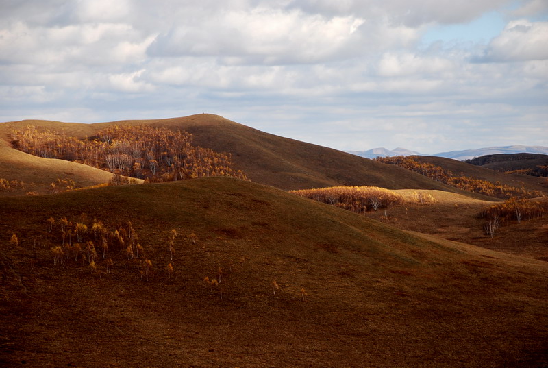 dsc_1015.jpg