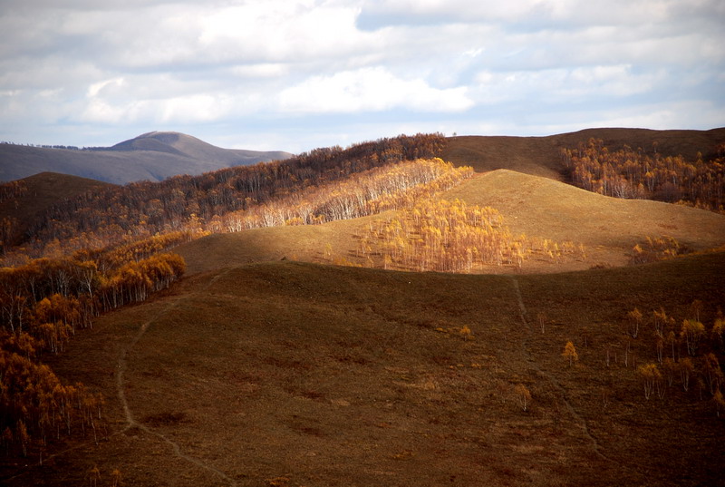 dsc_1018.jpg