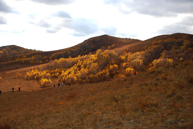 dsc_1020.jpg