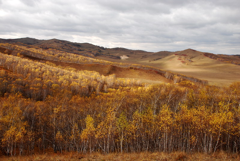 dsc_1046.jpg
