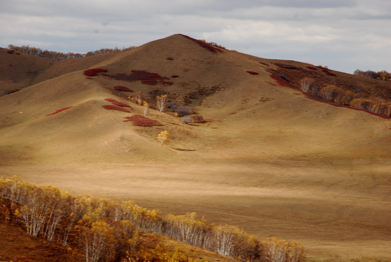dsc_1047.jpg