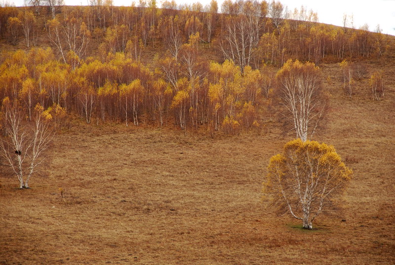 dsc_1065.jpg