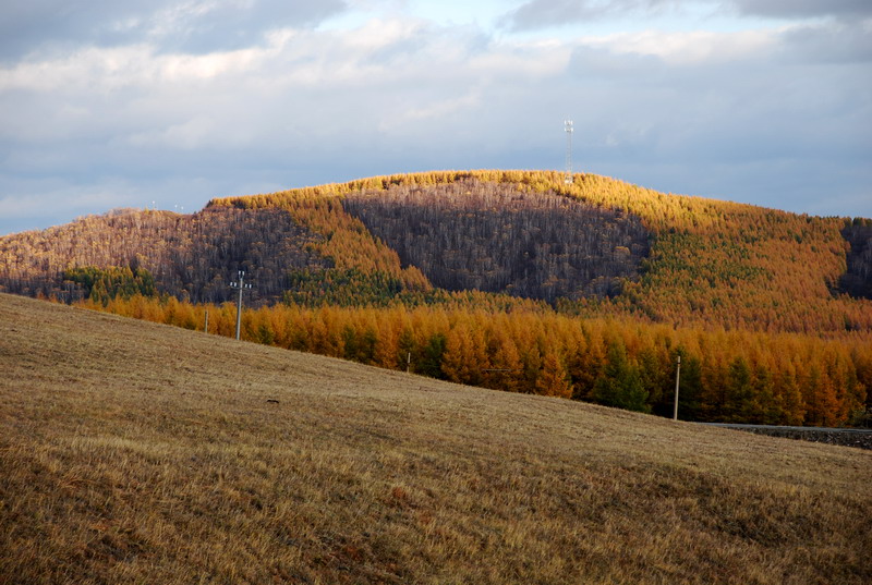 dsc_1085.jpg