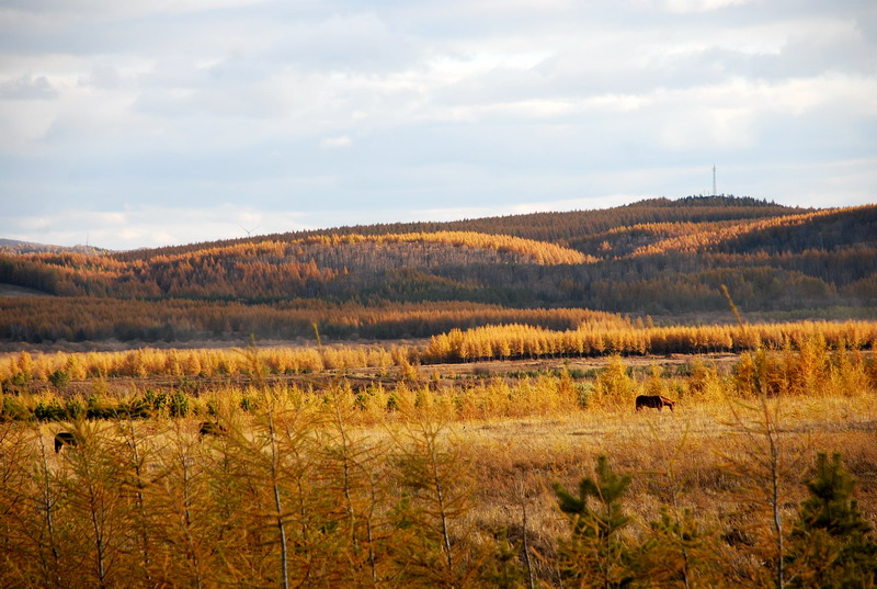 dsc_1091.jpg