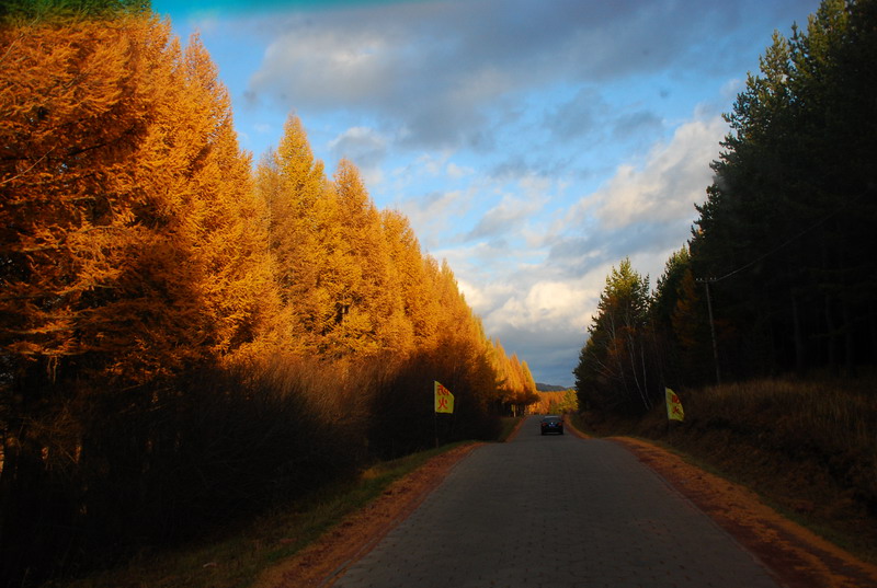dsc_1108.jpg
