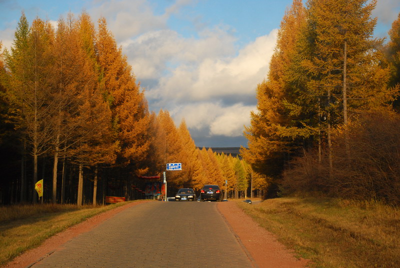 dsc_1118.jpg