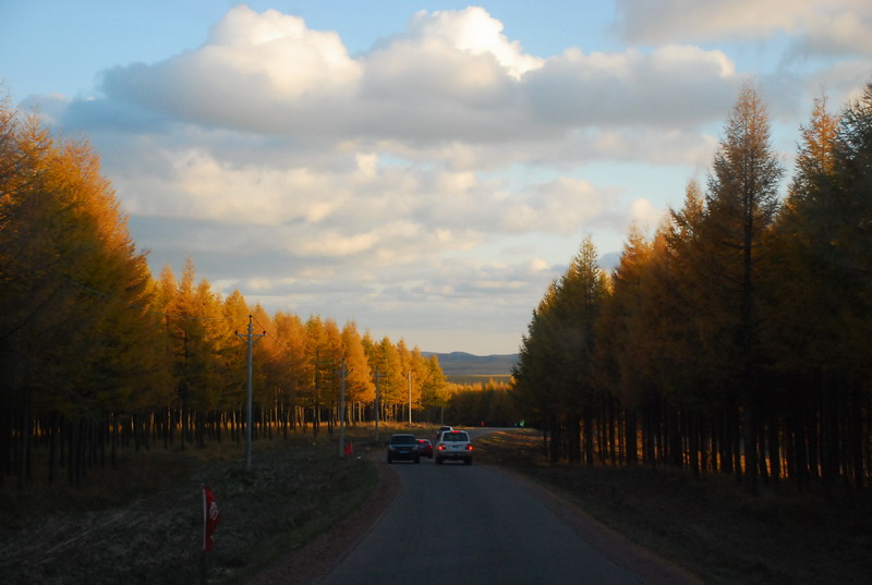 dsc_1133.jpg