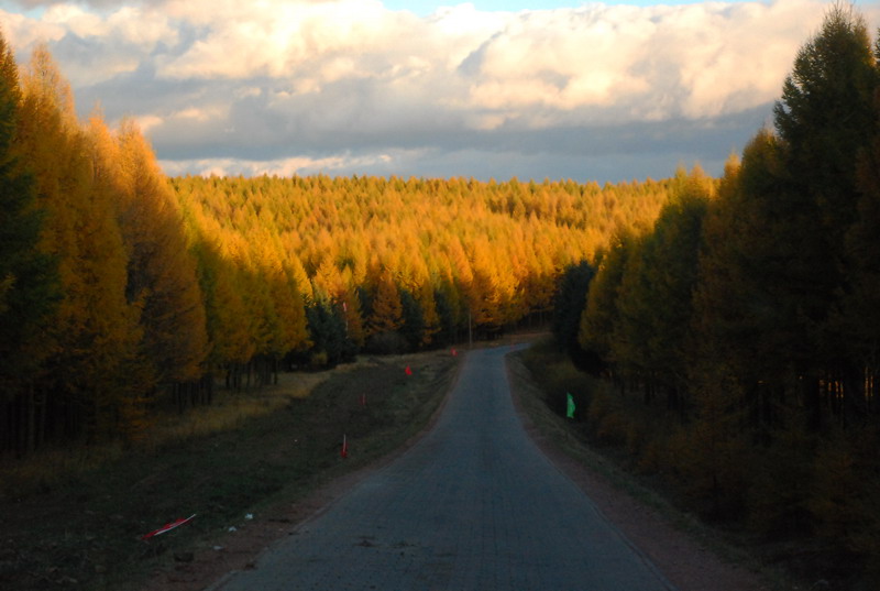 dsc_1149.jpg
