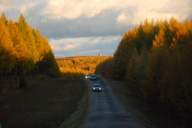 dsc_1152.jpg