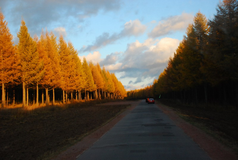 dsc_1153.jpg