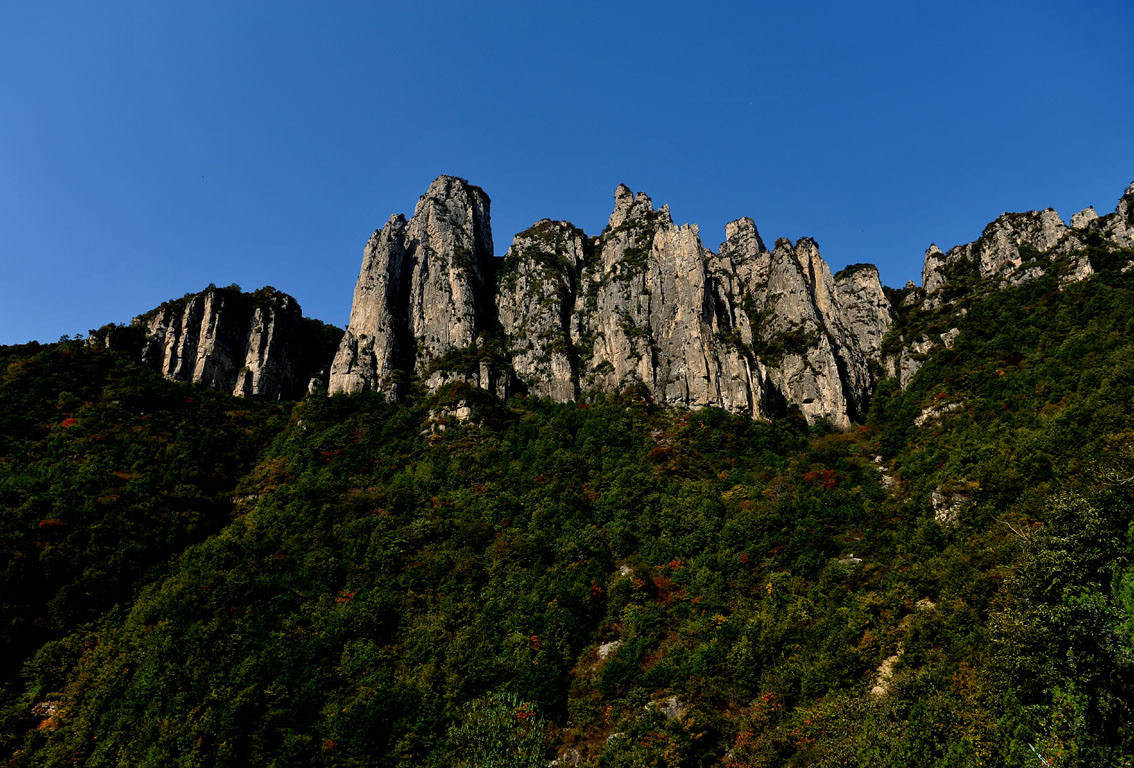 yjw_9362-1.jpg