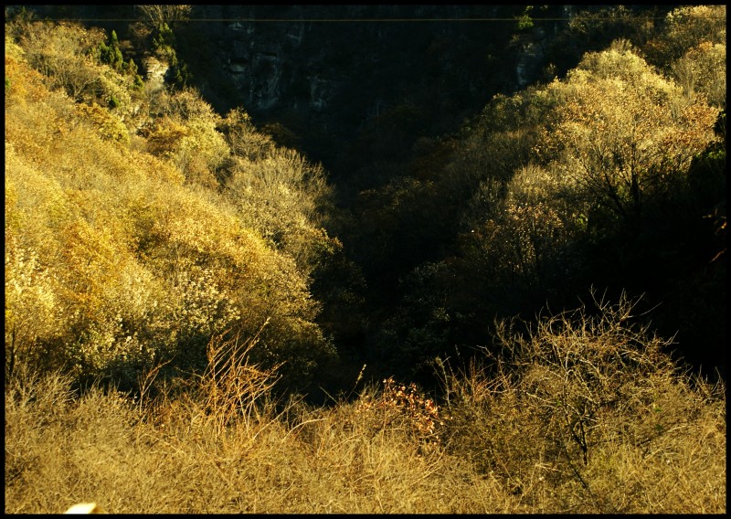 conew_dsc06043_conew1.jpg