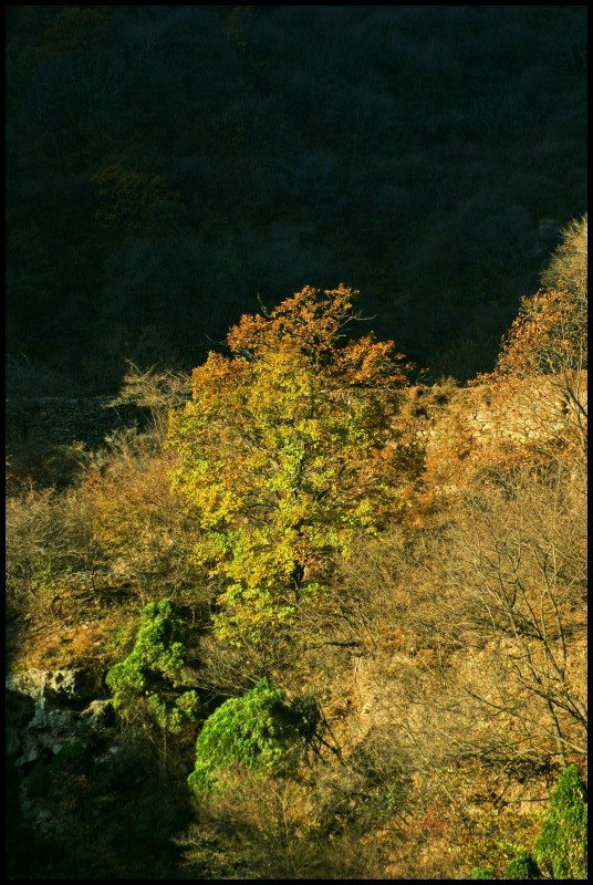 conew_dsc06079_conew1.jpg