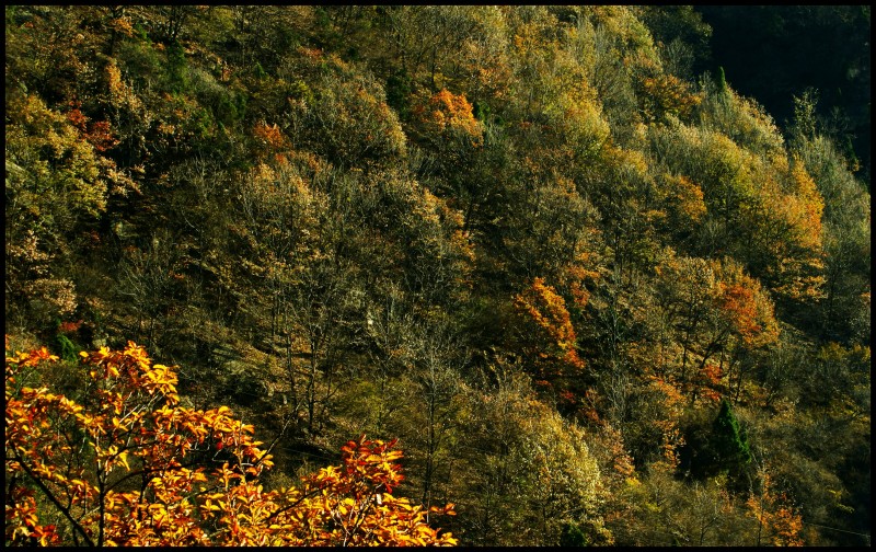 conew_dsc06152_conew1.jpg