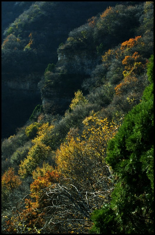 conew_dsc06310_conew1.jpg