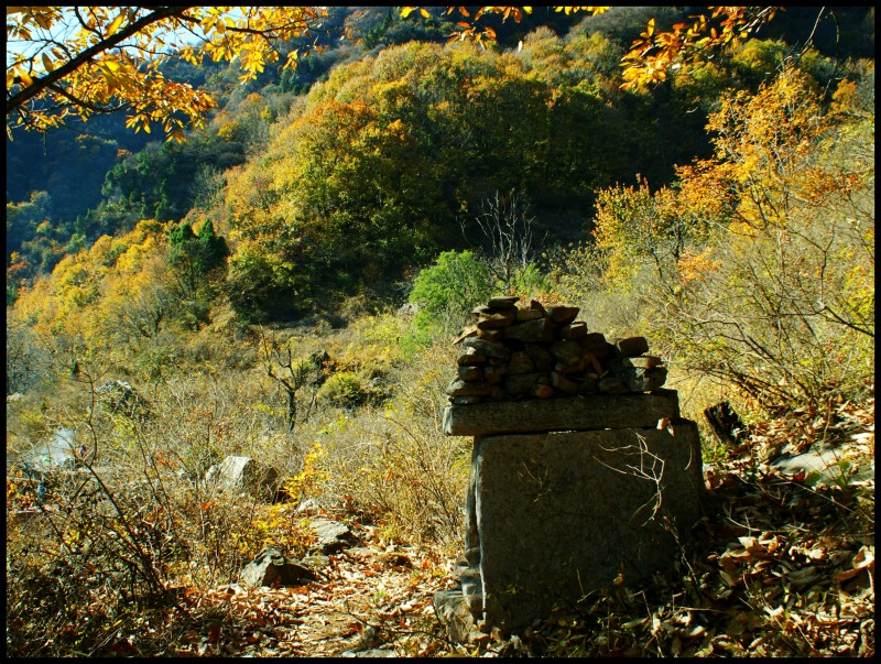 conew_dsc06346_conew1.jpg