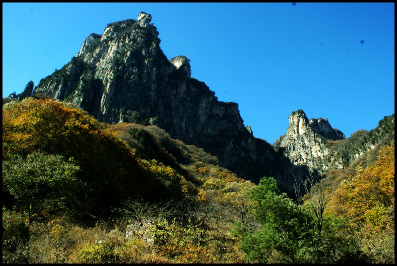 conew_dsc06358_conew1.jpg